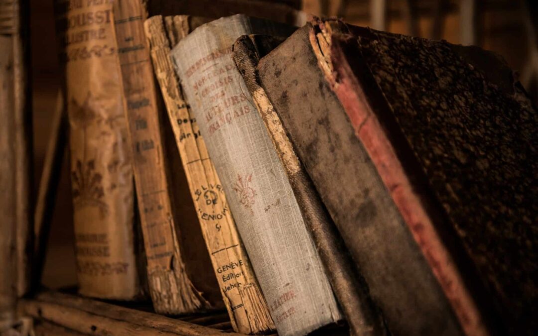 In unserer Schlossbibliothek gefunden