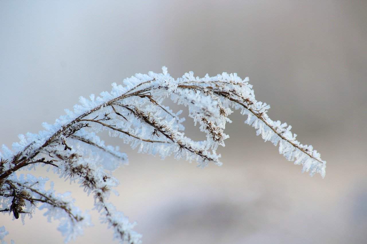 frost-3944523_1280