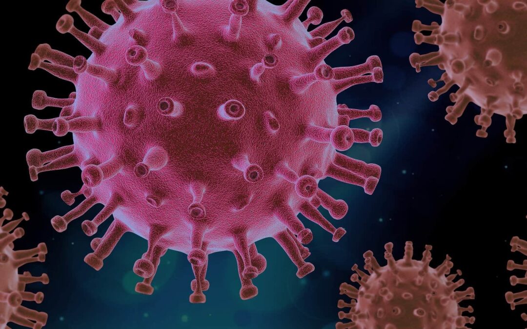 Das Corona-Virus