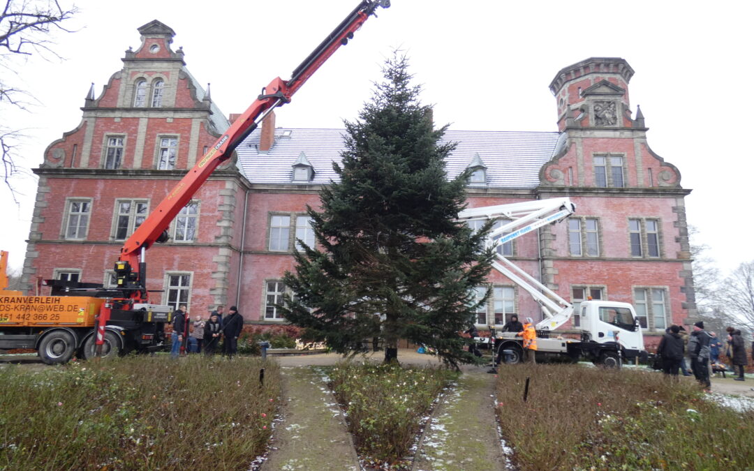 Eine Tanne für Schloss Bernstorf