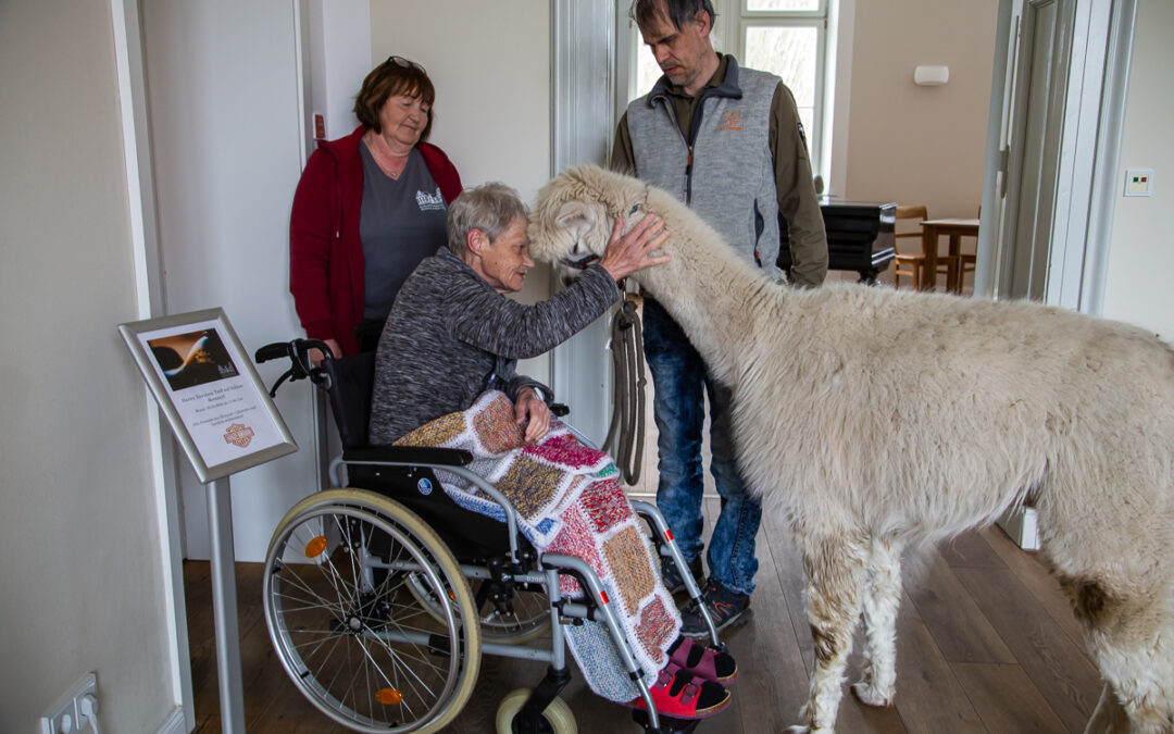 Spenden für die Hospizpatenschaft