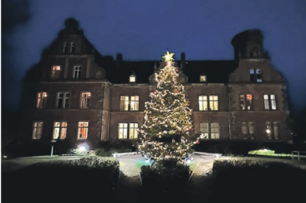 Großer Weihnachtsbaum steht vor dem Hospiz Schloss Bernstorf in Dämmerung