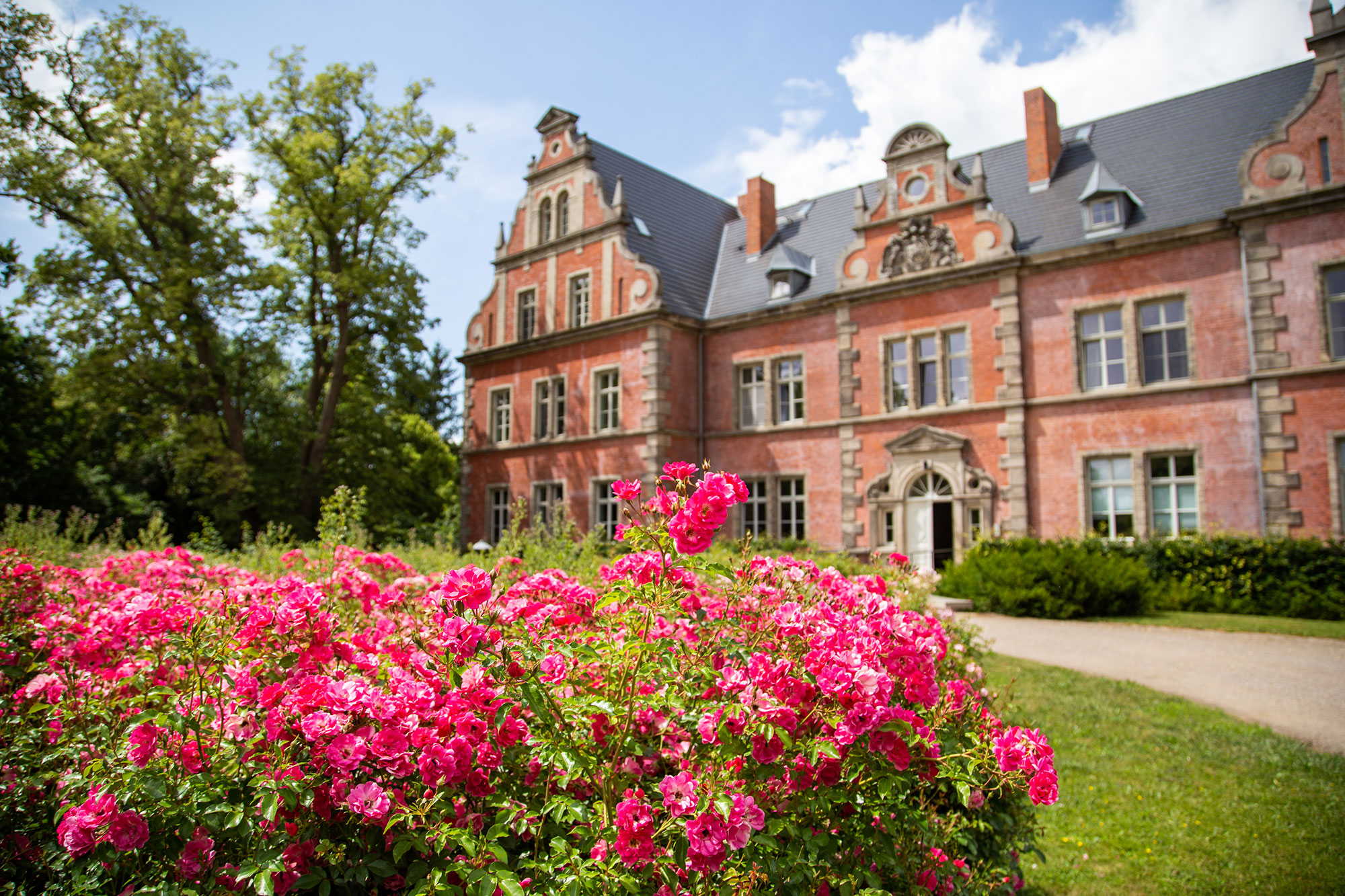 Headerbild Schloss Bernstorf